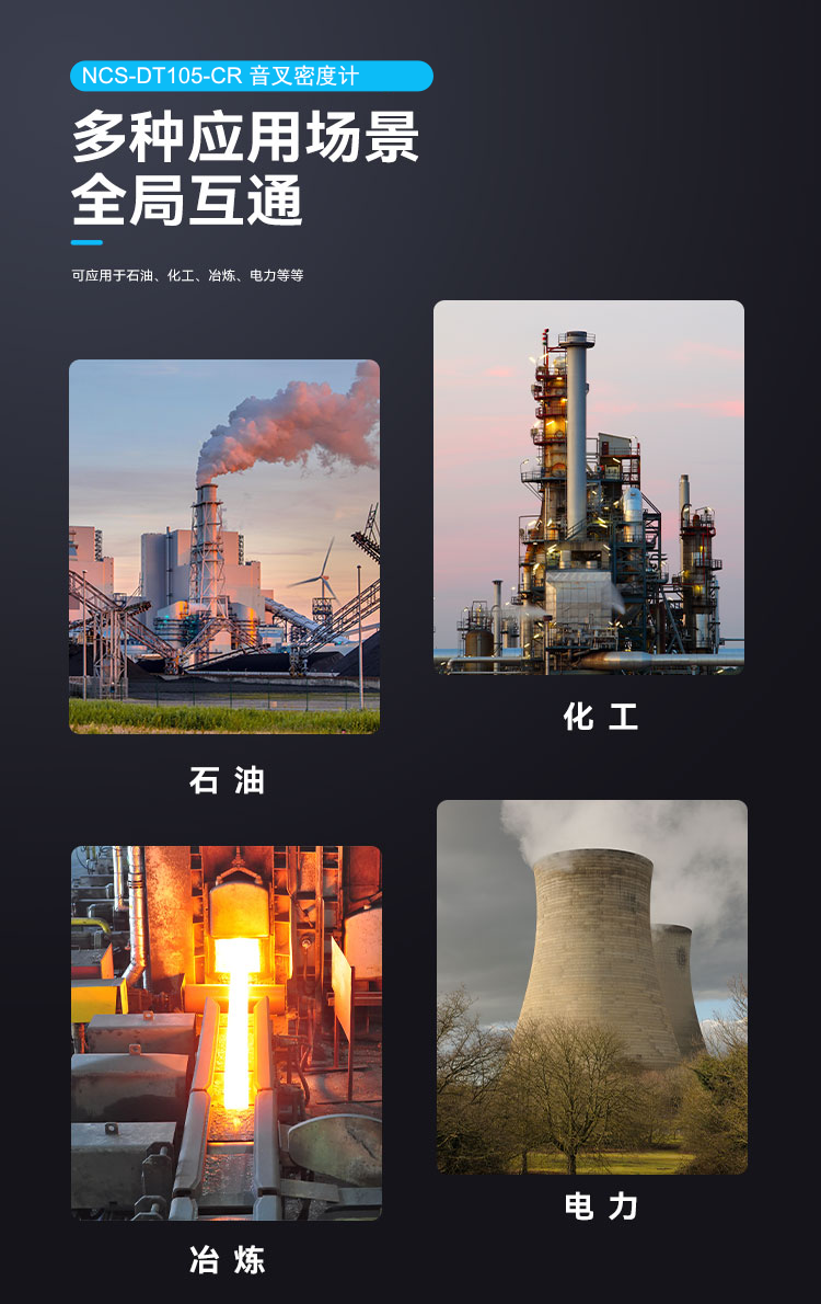NCS-DT105-CR 音叉密度計(jì).png